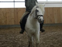 img_8406 640x480_web